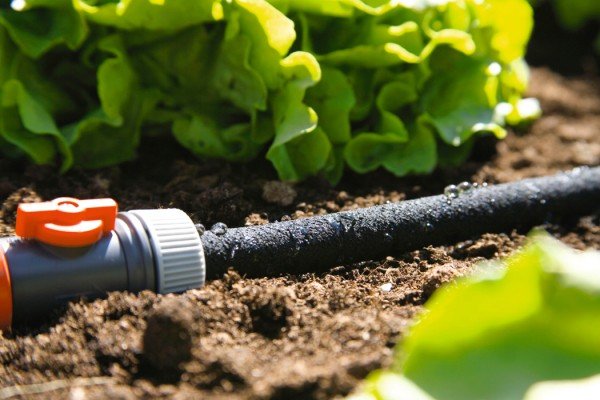 Come scegliere una pompa per irrigazione: le caratteristiche