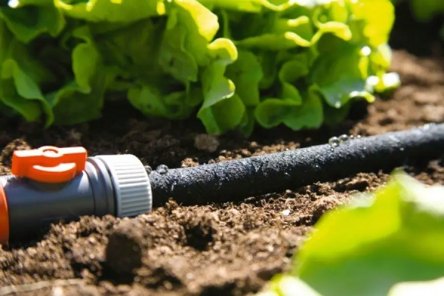 Come scegliere una pompa per irrigazione: le caratteristiche